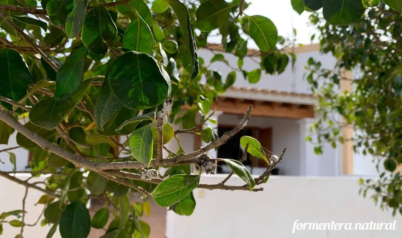 Casa Reme Sant Francesc - Formentera Natural San Francisco Javier 0*,  Ισπανία